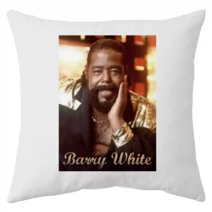Barry White Almohadon Friki Tu Eres #2