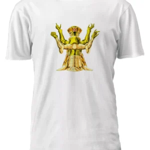 Caballeros Del Zodiaco Armadura Geminis Remera Friki Tu Eres #39